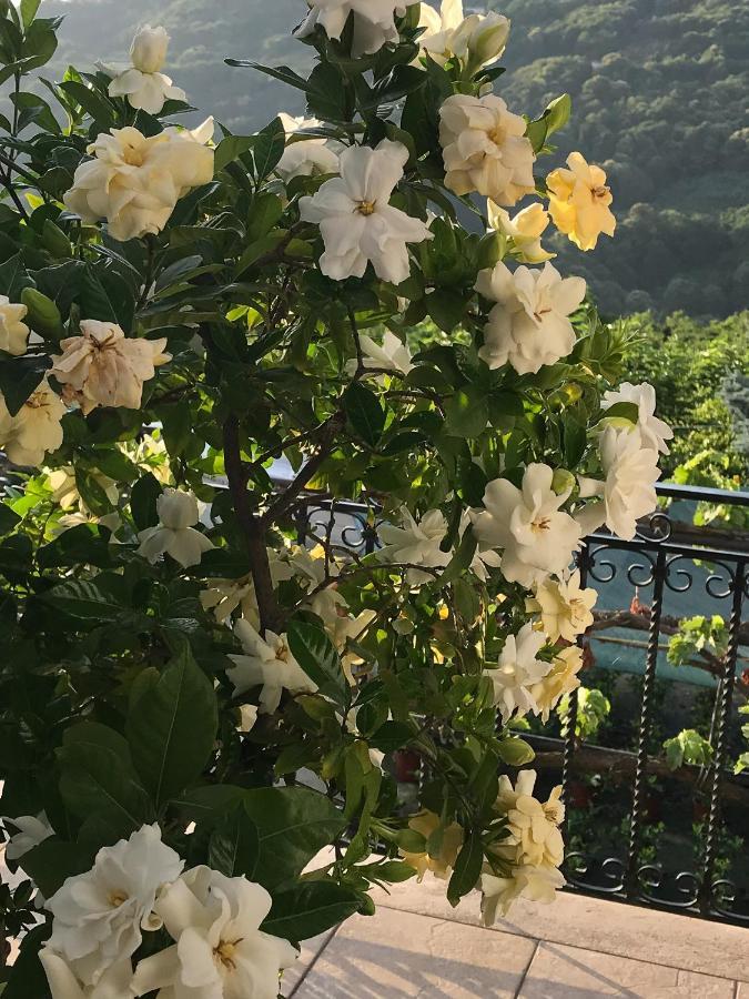 D & K Guest House Makrirrákhi 外观 照片