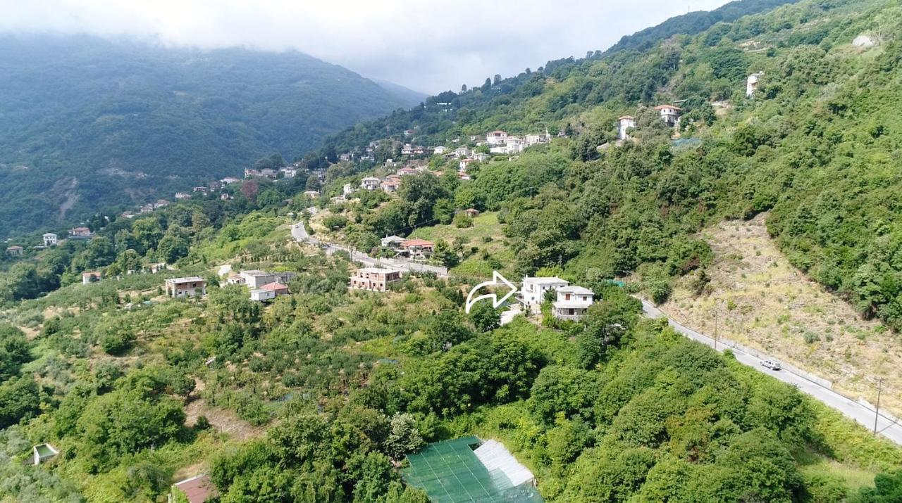 D & K Guest House Makrirrákhi 外观 照片